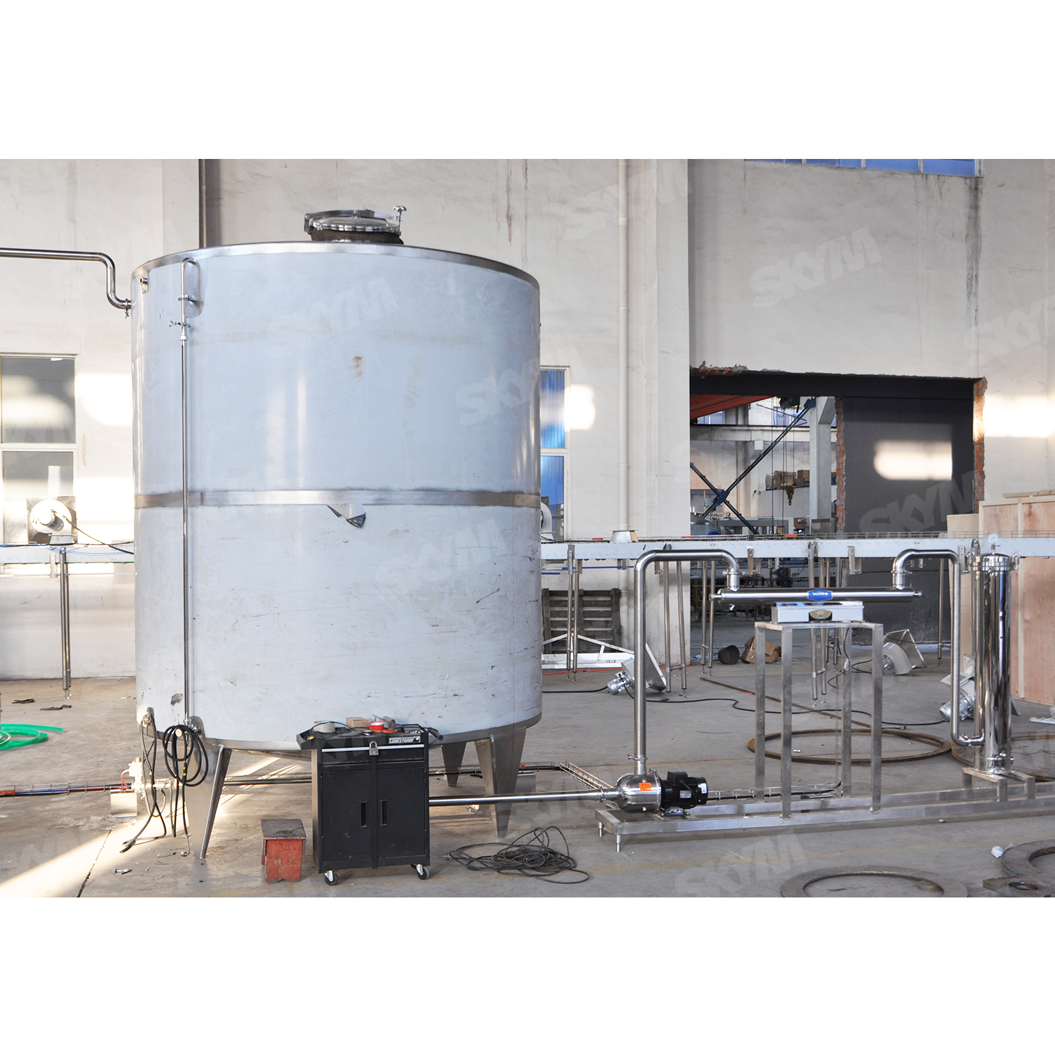 Équipement de traitement de l'eau de RO pour la chaîne de production remplissante d'eau pure